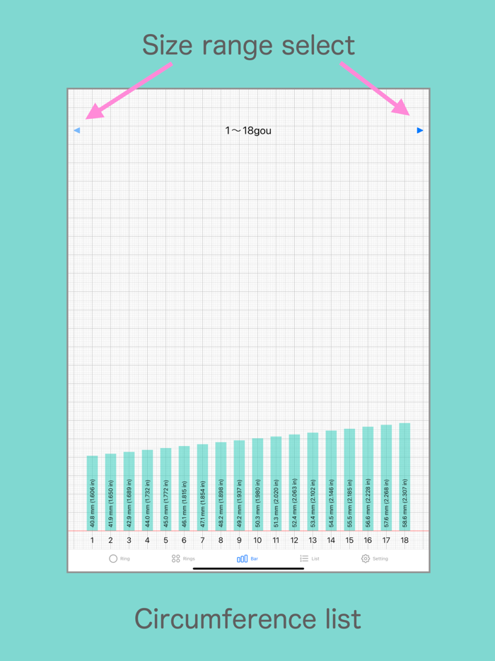Ring Sizer for Japan