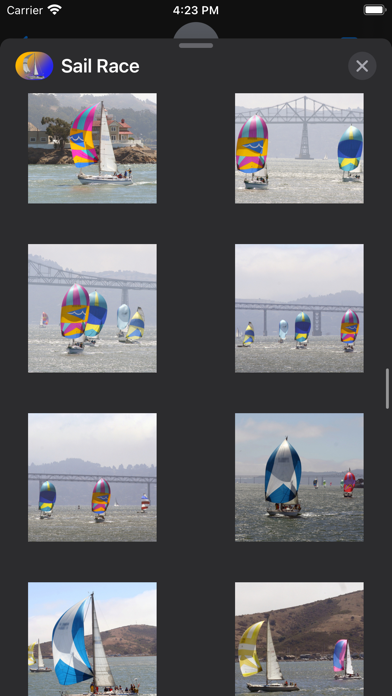 Sail Race Screenshot