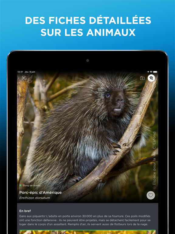Screenshot #5 pour Espace pour la vie - Montréal