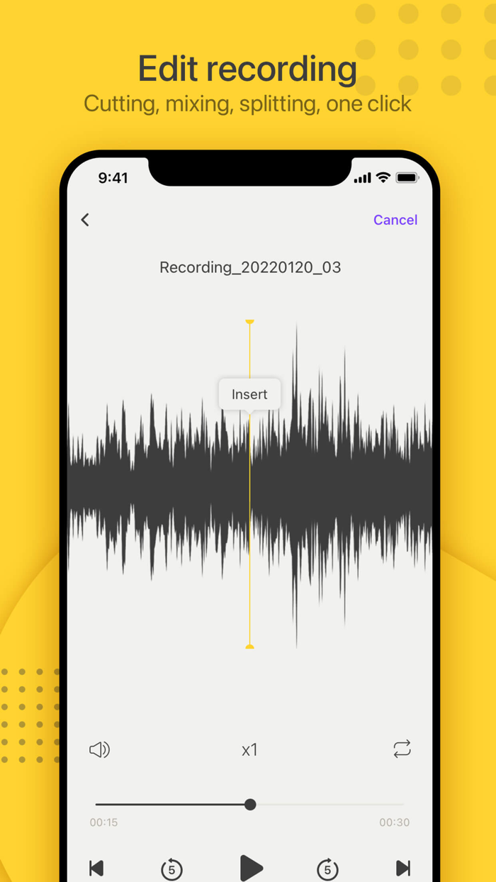 Voice Recorder：audio editor
