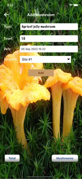 Game screenshot My Mushroom Log apk