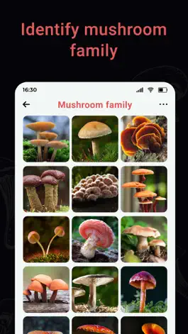 Game screenshot USA Mushroom Identification hack