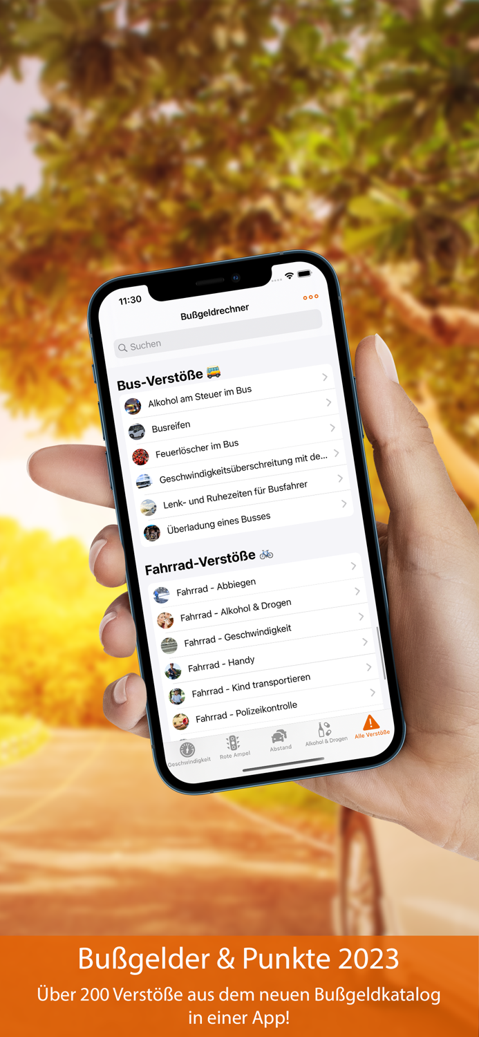 Bußgeldrechner Pro 2023