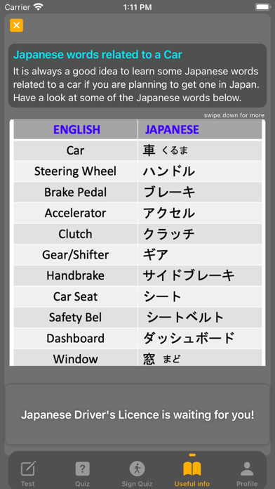 JP Driver's License Screenshot