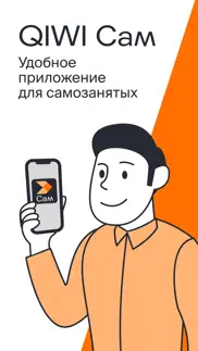 qiwi Сам problems & solutions and troubleshooting guide - 1