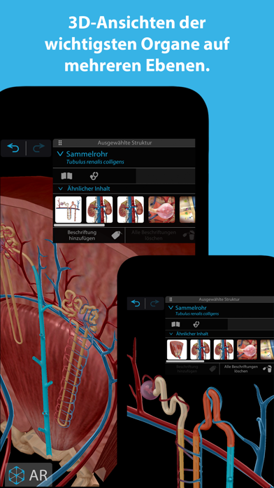 Atlas der Humananatomie 2023 app screenshot 1 by Visible Body - appdatabase.net