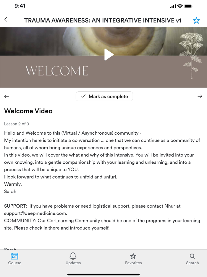 Integrative Trauma Institute