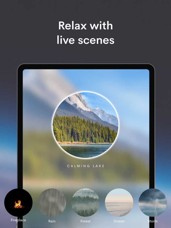 Manifest Daily Affirmations