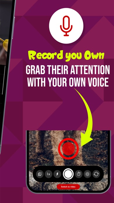 PetCam - Perfect Pet Portraits Screenshot