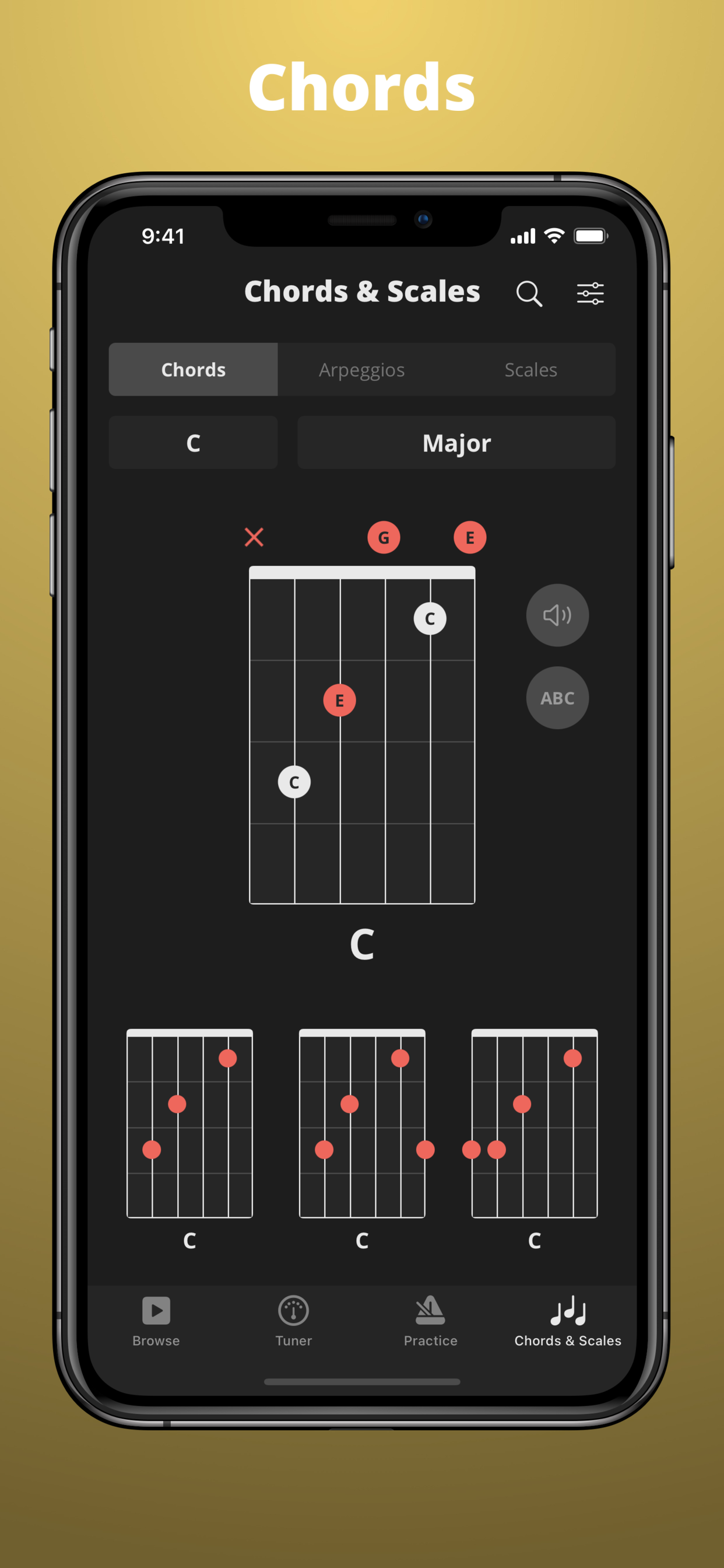 GuitarApp - Tuner & Metronome