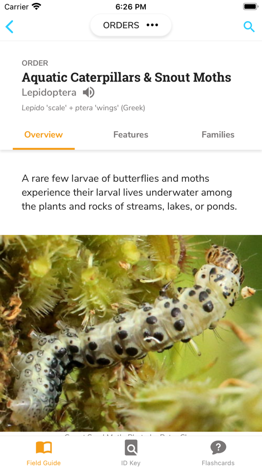 #2. PocketMacros (iOS) โดย: Marti Louw