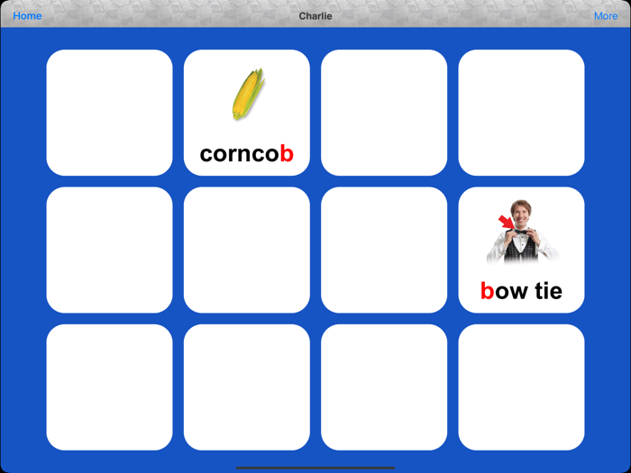 Webber Photo Artic Castle