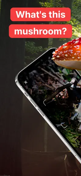 Game screenshot Mushroom Identification! mod apk