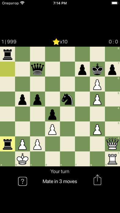 Chess Puzzles Set Screenshot