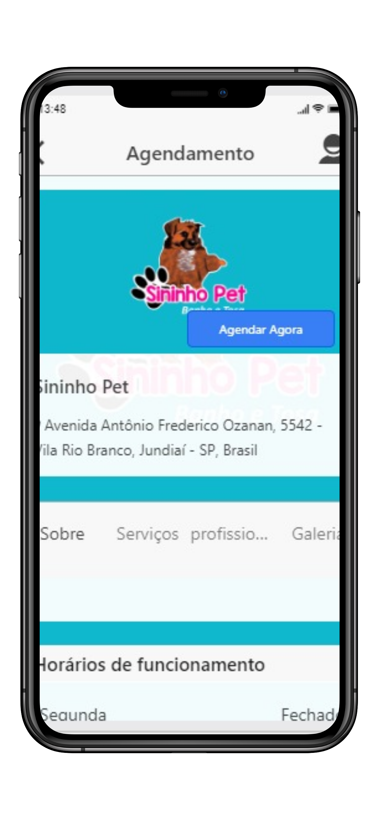 Sininho Pet