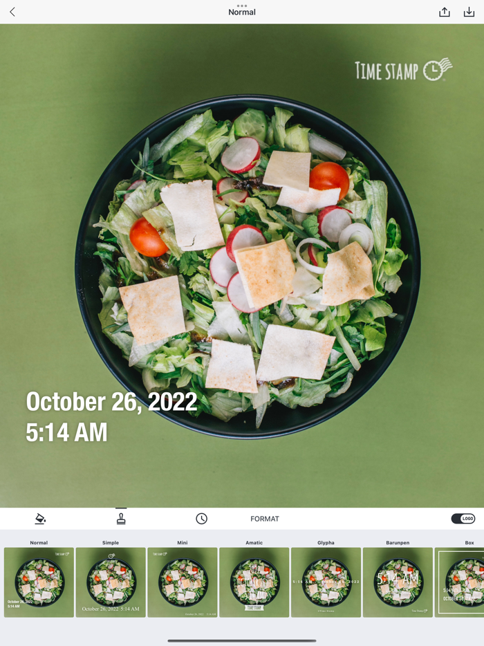 Timestamp Camera - Date Stamp