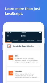 learn javascript programming iphone screenshot 4