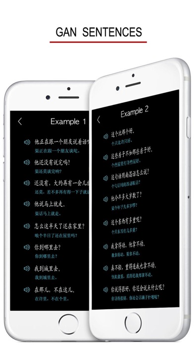 Screenshot #3 pour Gan Chinese Dialect