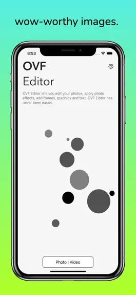 Game screenshot OVF Editor mod apk