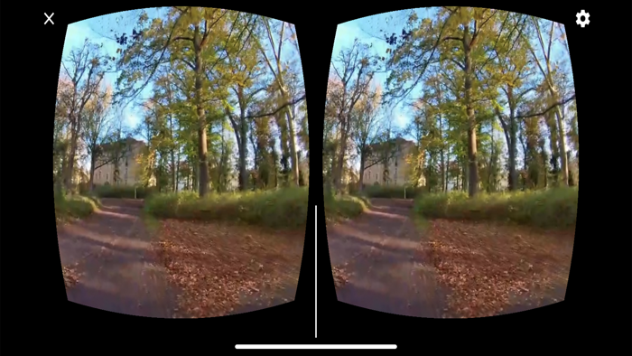 VR360 Walk in the Park