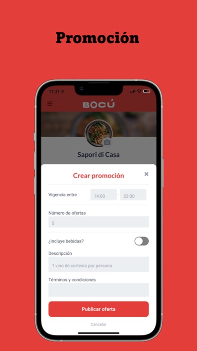 Bocú Partners Screenshot