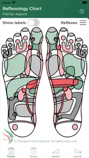 reflexology chart problems & solutions and troubleshooting guide - 2