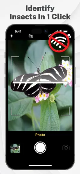 Game screenshot Insects & Bugs Identifier ID mod apk