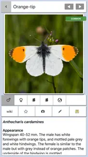 butterfly guide - europe iphone screenshot 2