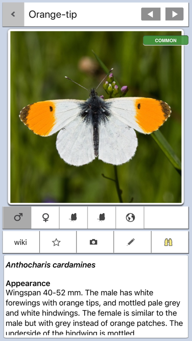 Screenshot #2 pour Butterfly Guide - Europe