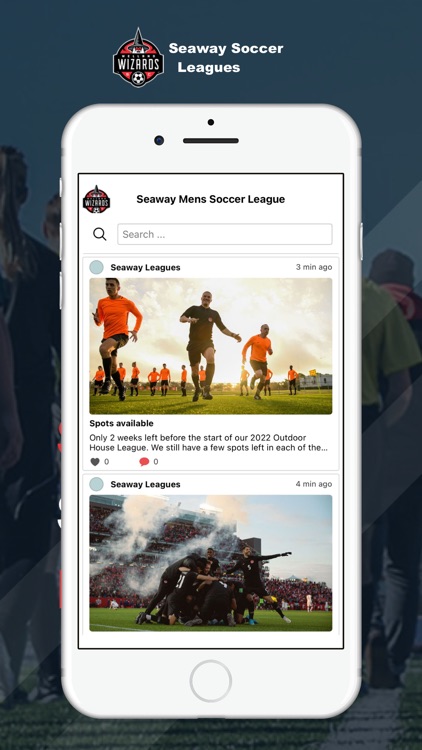 Seaway Soccer Leagues