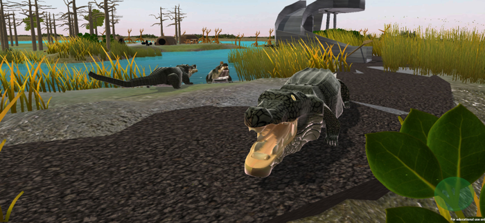 Everglades presented by MAGIC