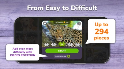 Jigsaw Puzzles Classic Games Screenshot