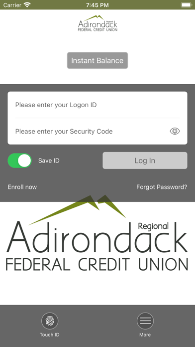 Adirondack Regional FCU Screenshot