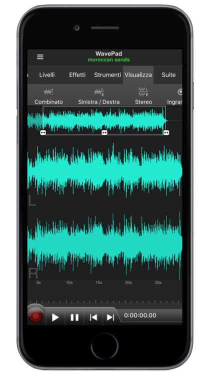 WavePad Professionale screenshot-6