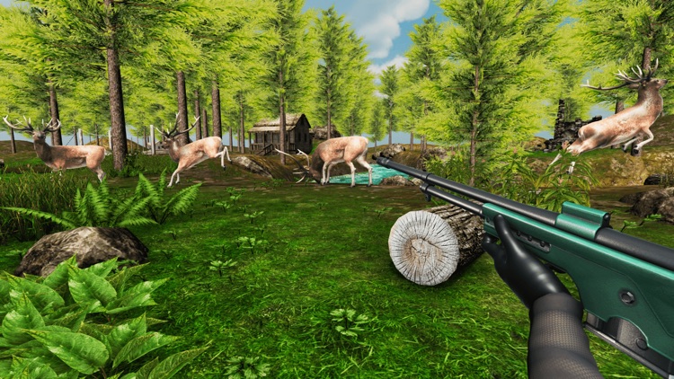 Deer Hunting Shooting Sniper