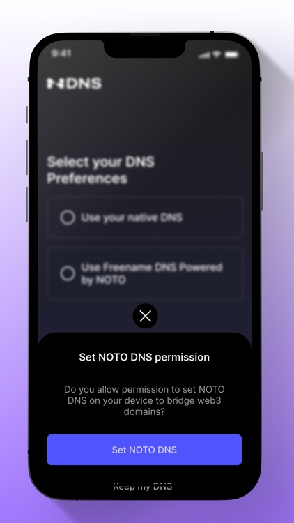 Freename DNS Installer screenshot-4