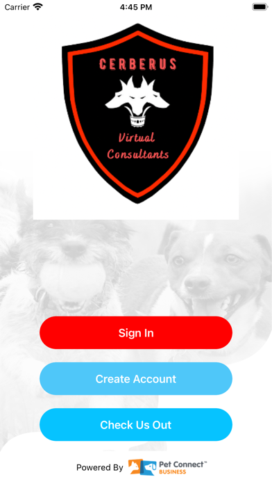 Cerberus Virtual Consultants Screenshot