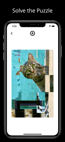 Game screenshot PictoSpin apk