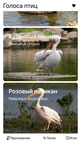 Game screenshot Экогид - Голоса птиц hack