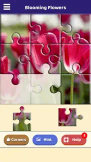 blooming flowers puzzle iphone screenshot 1