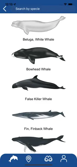 Game screenshot Whale Reporter apk