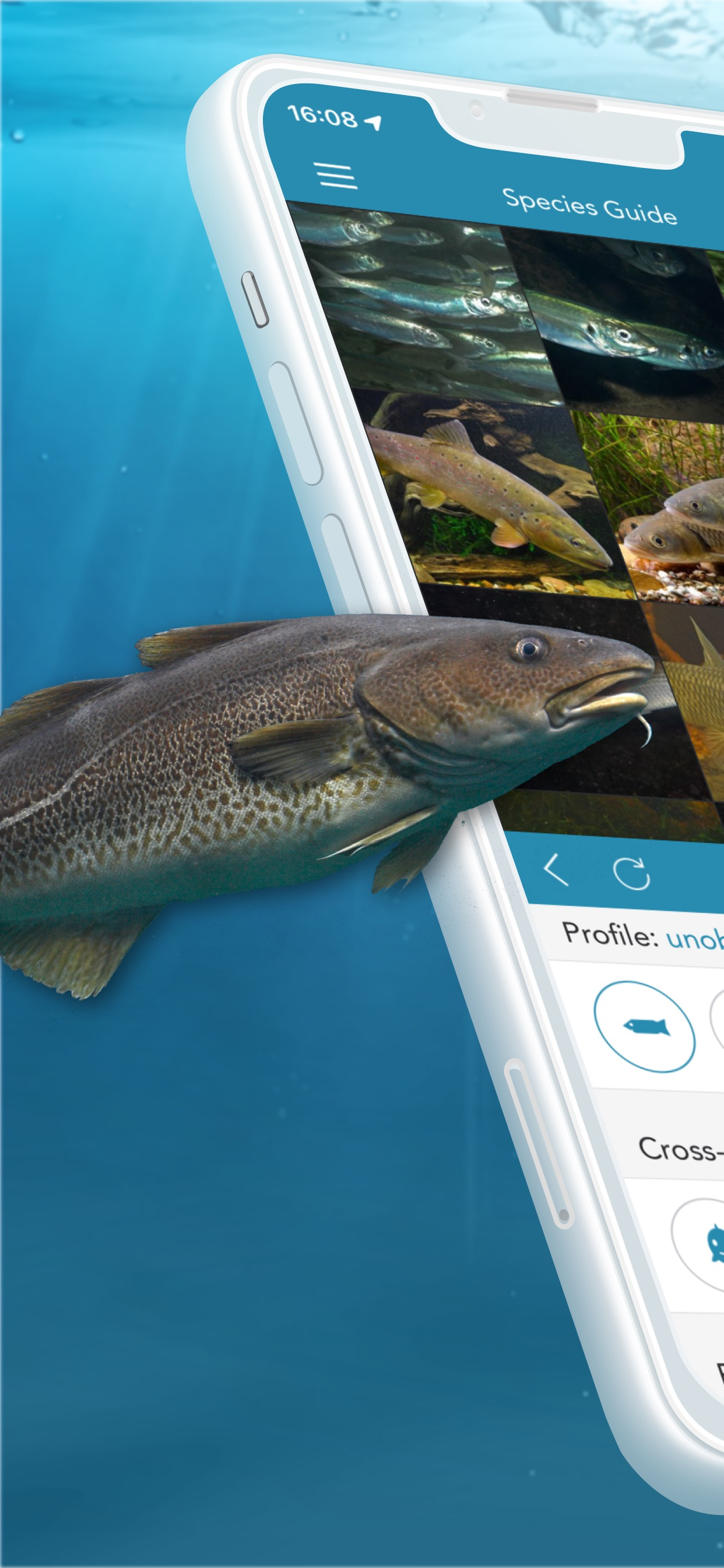 Fishes PRO - Field Guide