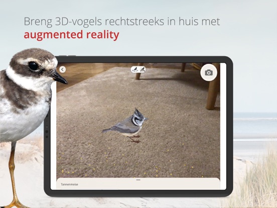 Vogels van Nederland en België iPad app afbeelding 4
