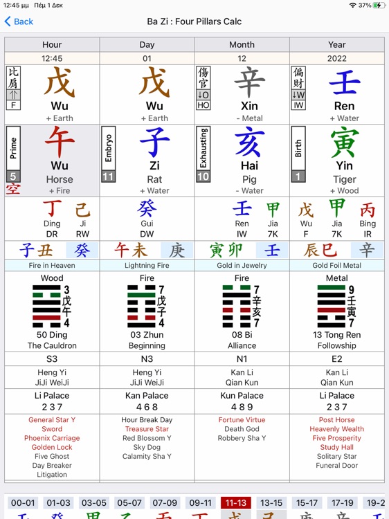 Zi Wei Dou Shu Astrology screenshot-7