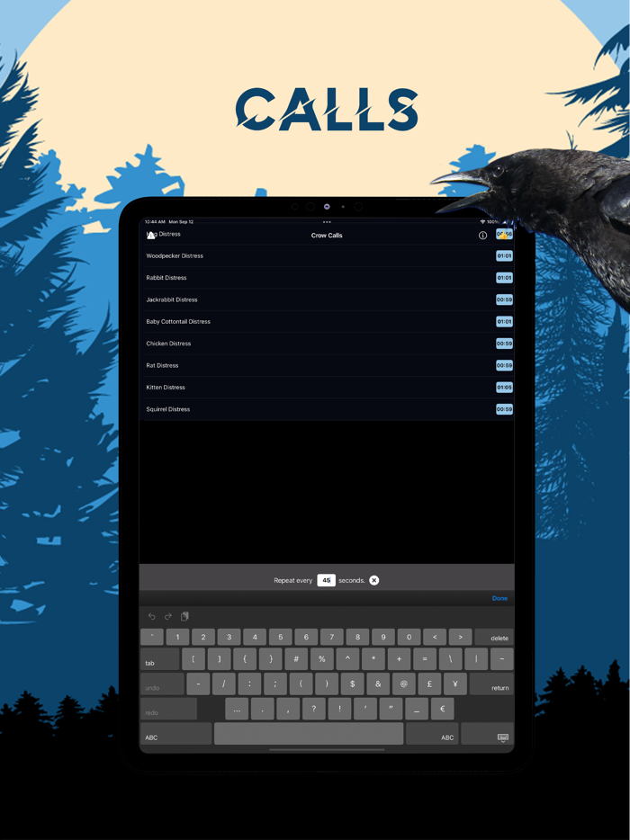 Crow Magnet - Crow Sounds