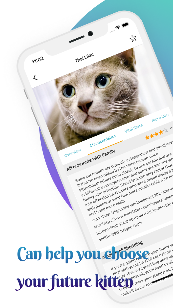 Cat Caring Breeds and Guides