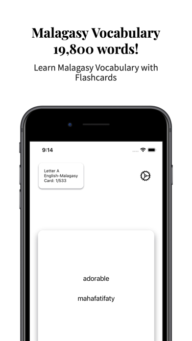 Malagasy Vocabulary Screenshot
