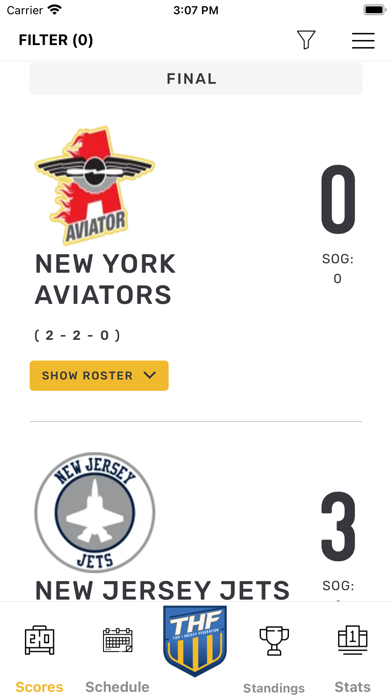Tier 1 Hockey Federation Screenshot