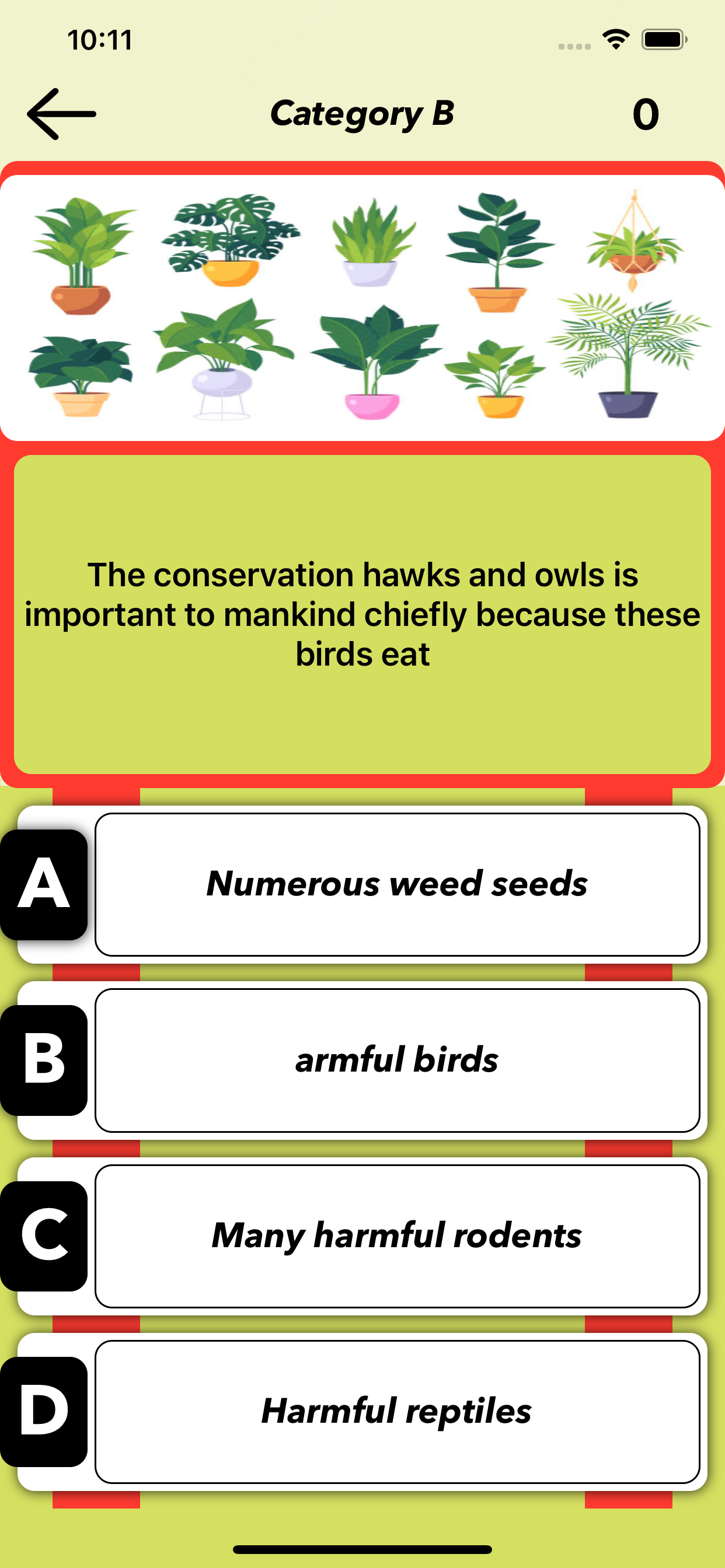 Food Quiz: Prueba de Comida