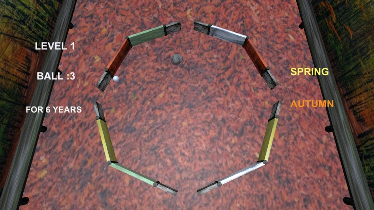 Seasonal Garden PinBall screenshot-4